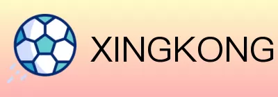 XINGKONG logo